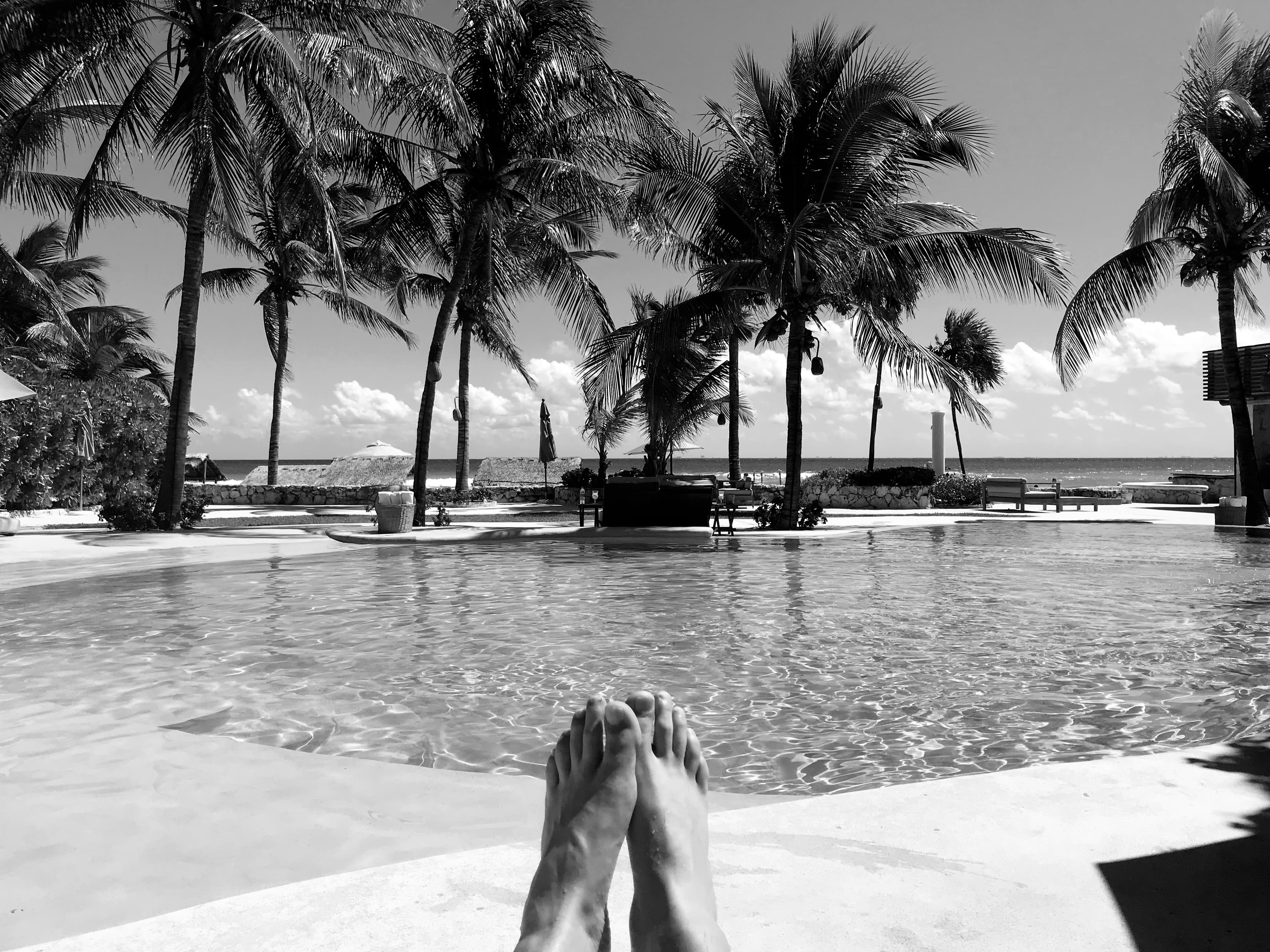Black-and-white poolside view of palm trees beside the ocean